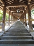 OI001010.jpg