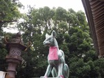 OI000242.jpg