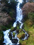 OI002455.jpg